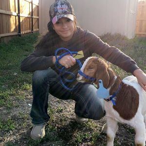 Meet your Posher, Destiny